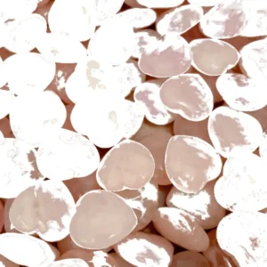 Rose Quartz Palm Stone